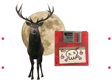 A stag, a full moon, and a three and a half inch red floppy disk with doodles of a skull and bones on it.