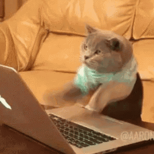 A cat typing frantically on a laptop.